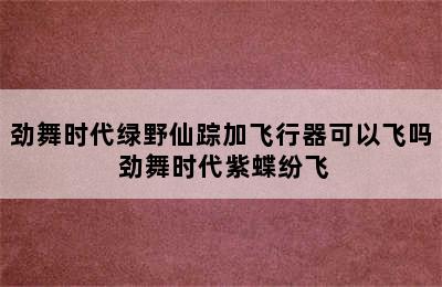 劲舞时代绿野仙踪加飞行器可以飞吗 劲舞时代紫蝶纷飞